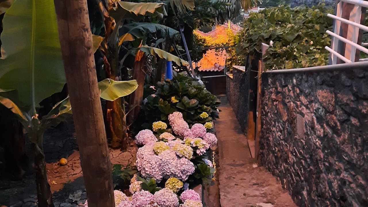 Photo of Outdoor in Ponta do Sol