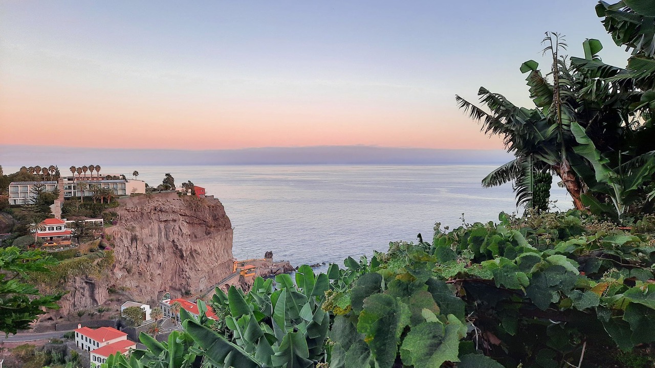 Photo of Others in Ponta do Sol