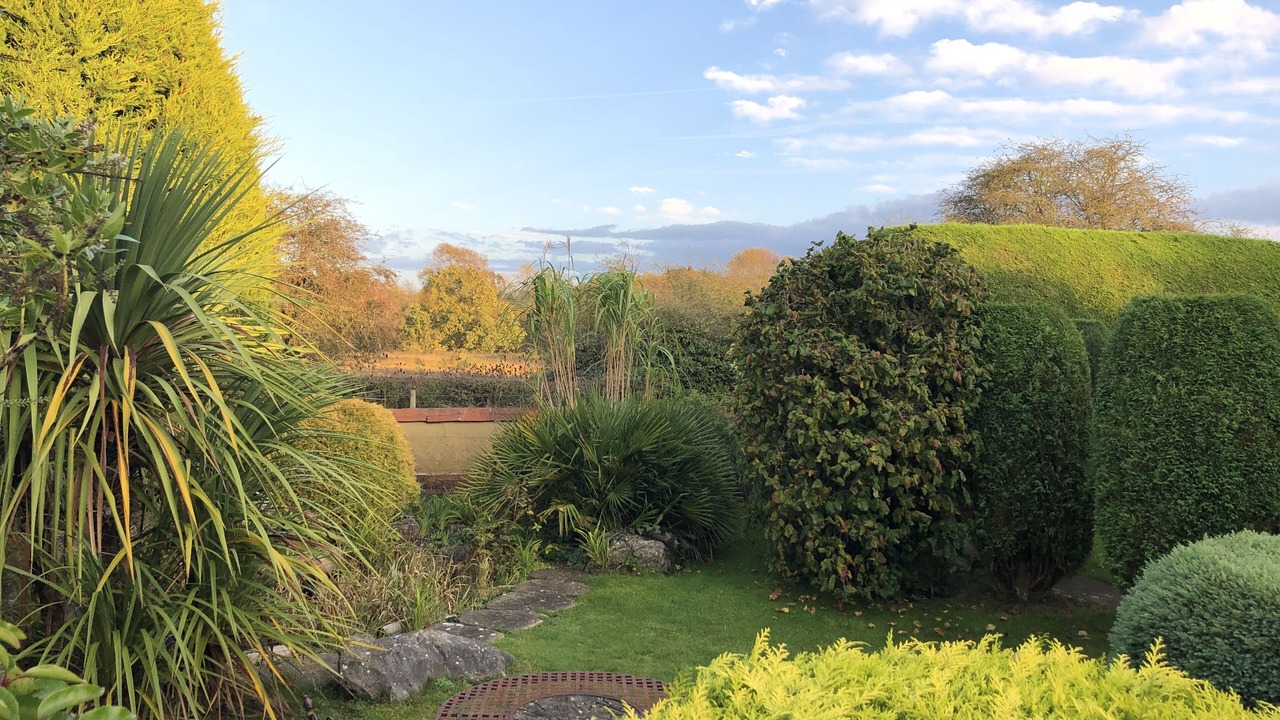 Photo of Outdoor in East Knighton