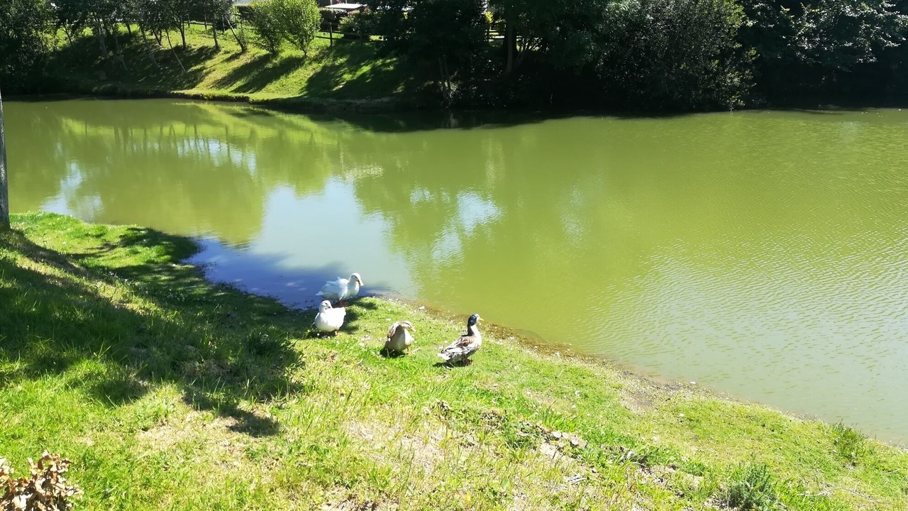 Photo of Others in Litteau