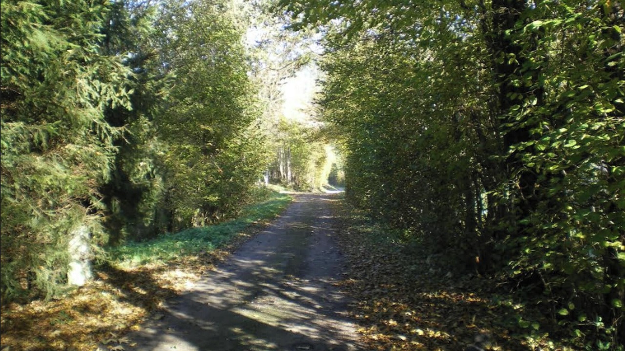 Photo of Others in Plancher-les-Mines