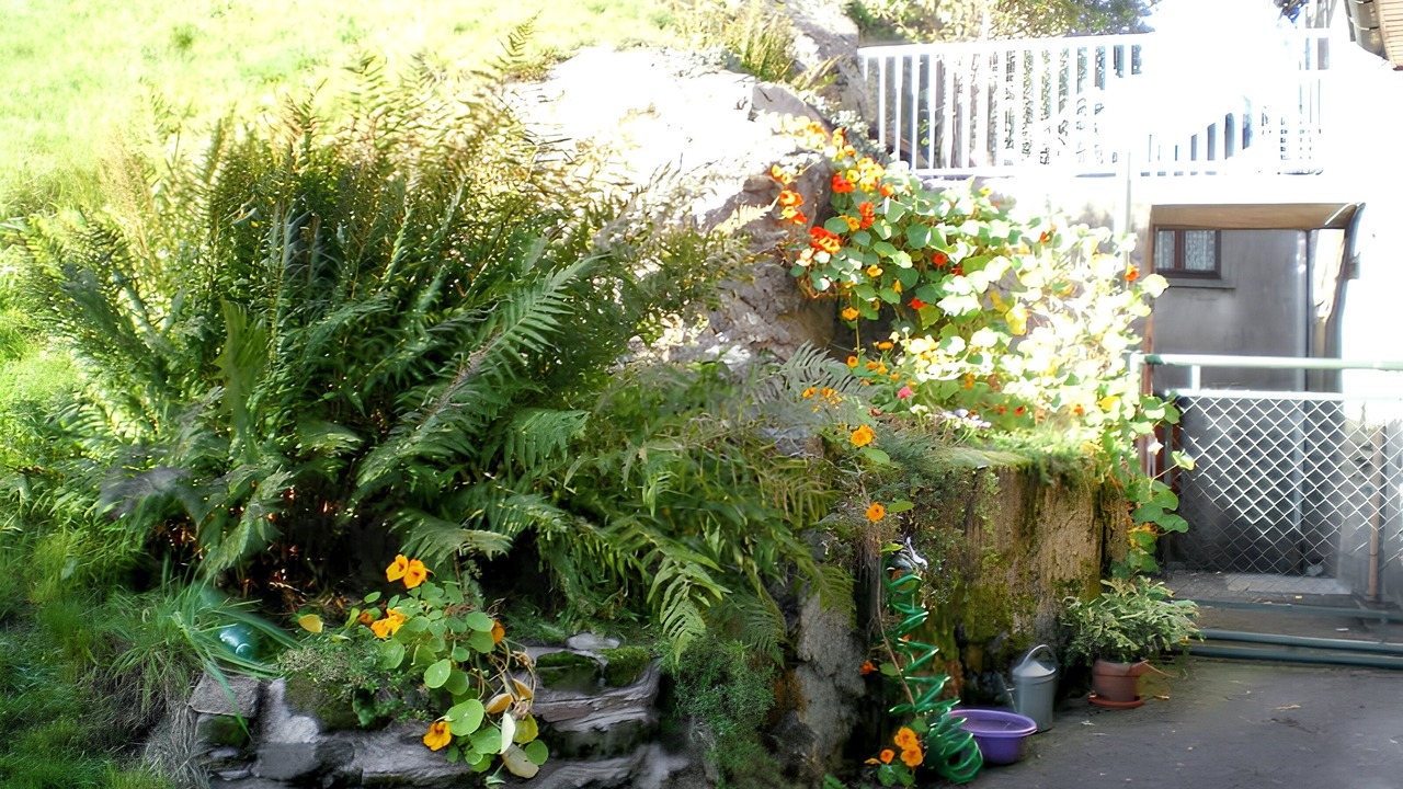 Photo of Outdoor in Plancher-les-Mines