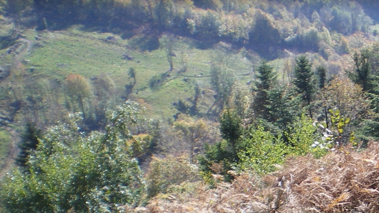 Photo of Others in Plancher-les-Mines