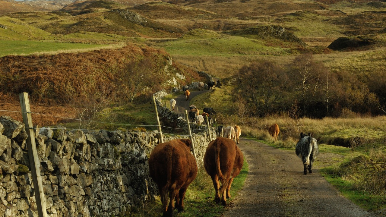 Photo of Others in Salen