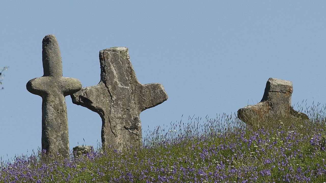 Photo of Others in Salen