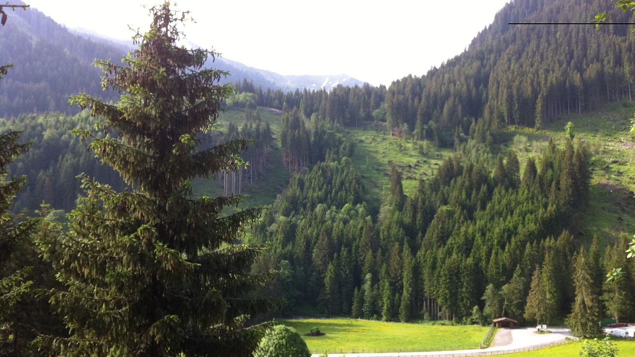 Photo of Others in Hinterglemm