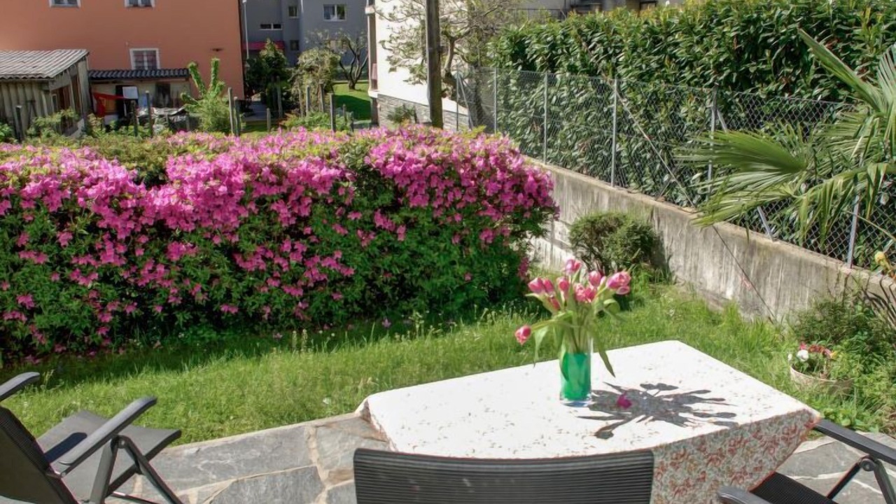 Photo of Others in Locarno