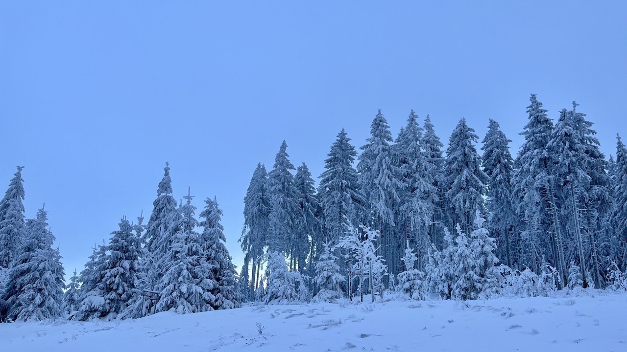 Photo of Others in Obstfelderschmiede