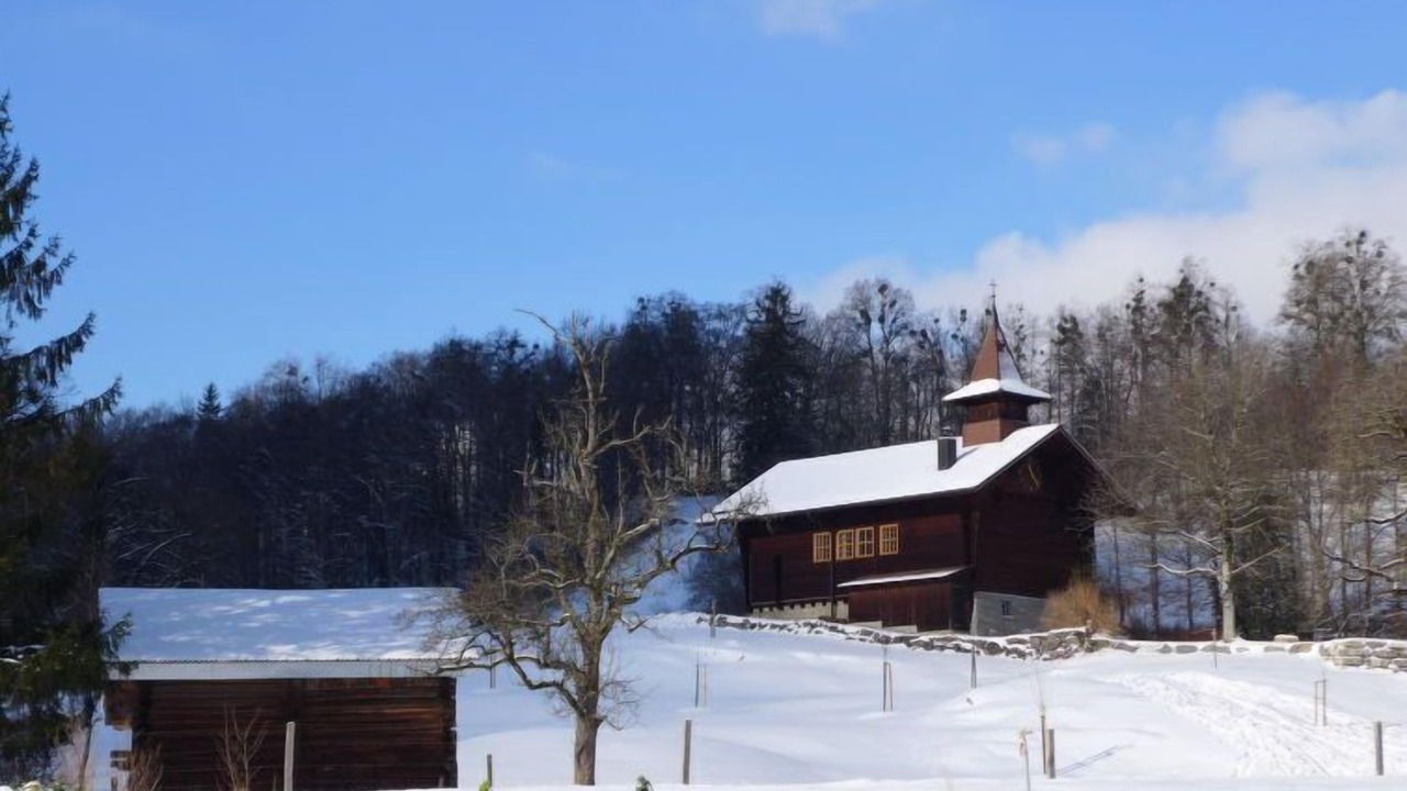 Photo of Others in Brienzwiler