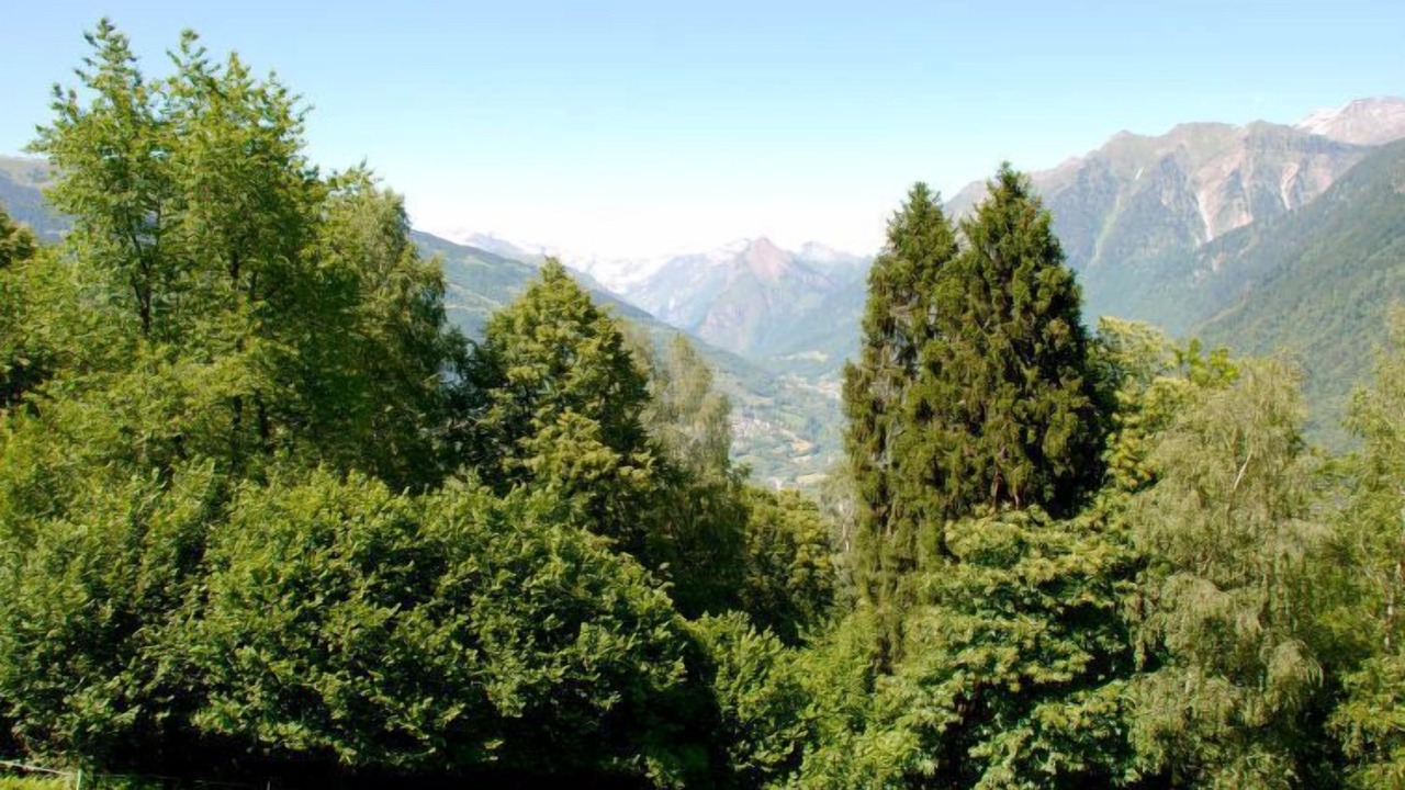 Photo of Others in Acquarossa