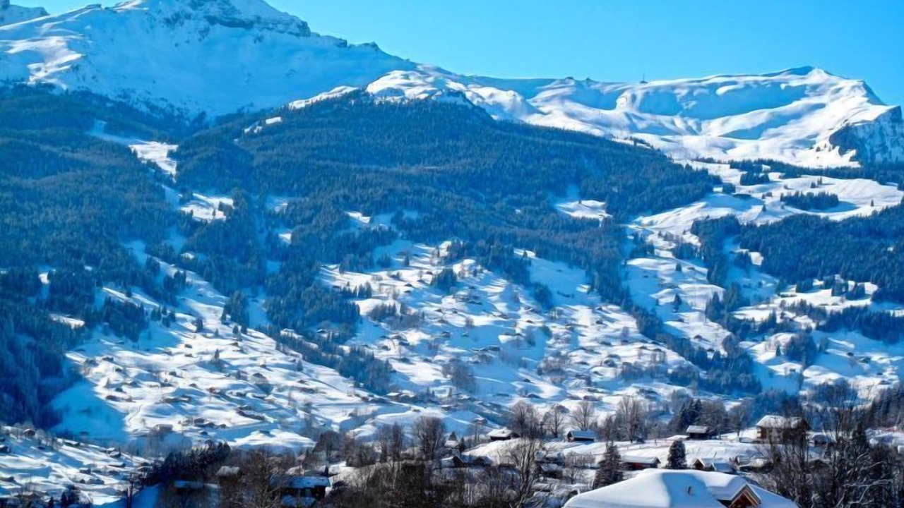 Photo of Others in Grindelwald