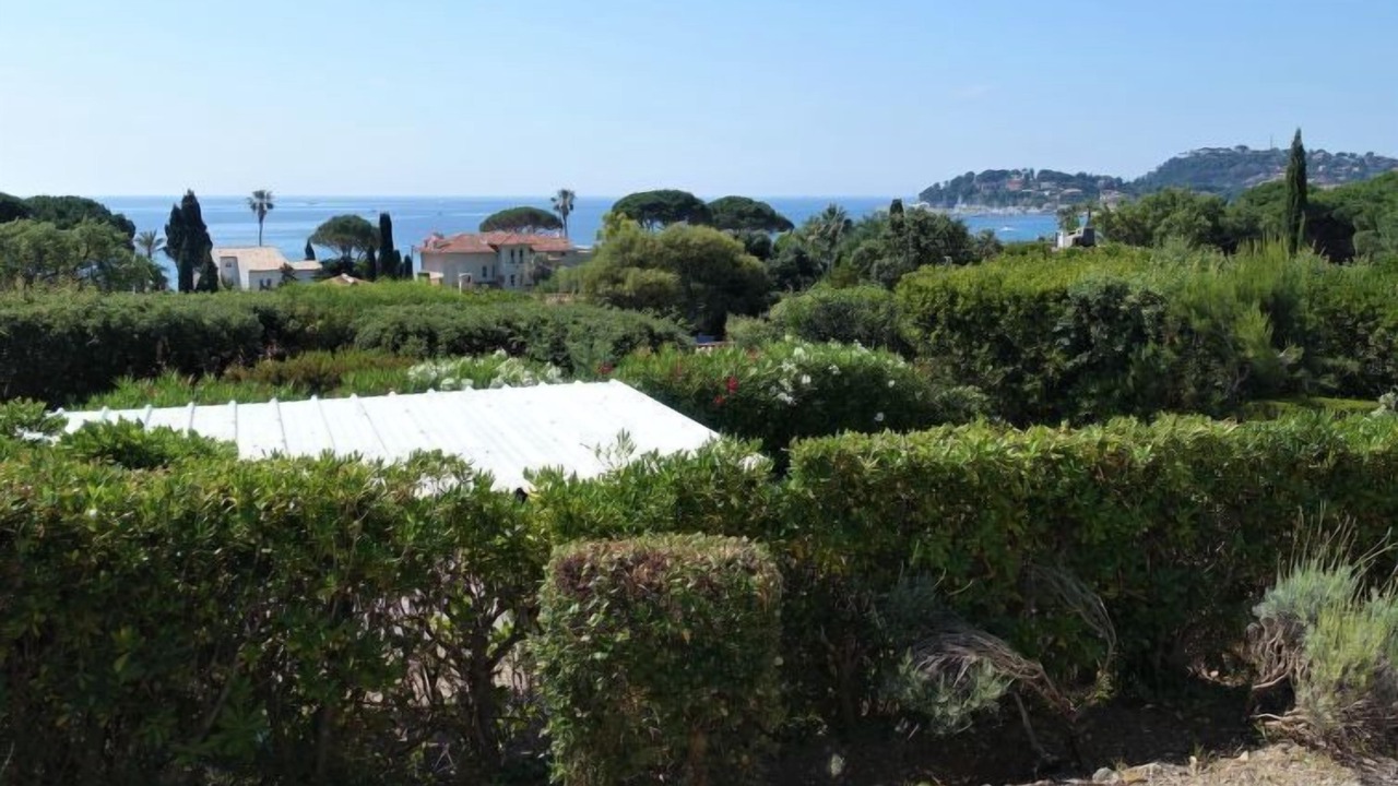 Photo of Others in Cavaliere