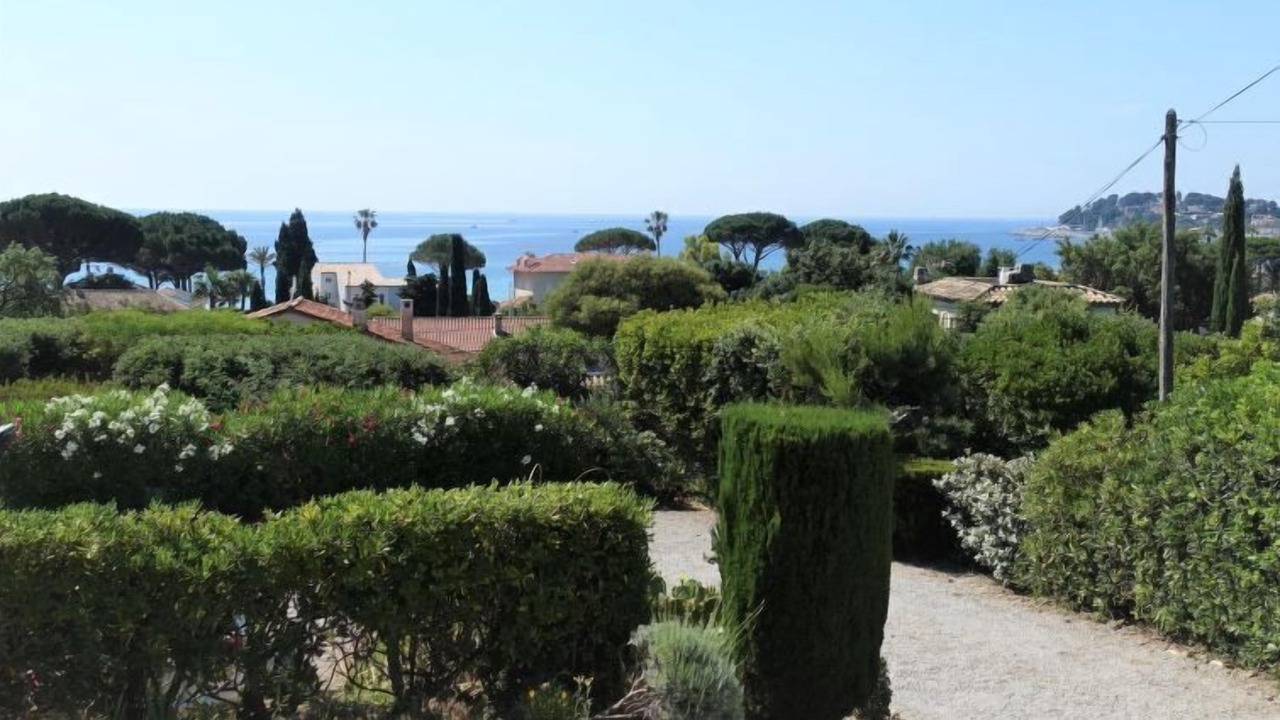 Photo of Others in Cavaliere