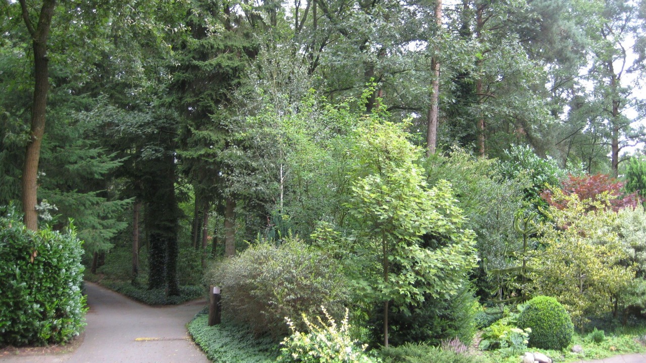 Photo of Outdoor in Lochem