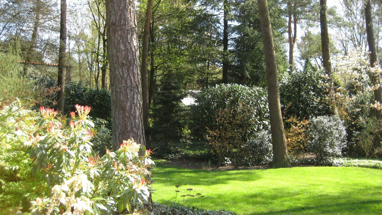 Photo of Outdoor in Lochem