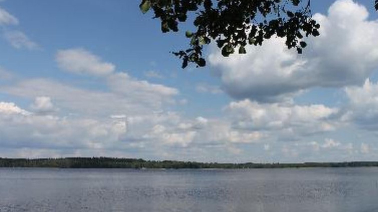 Photo of Others in Tammela