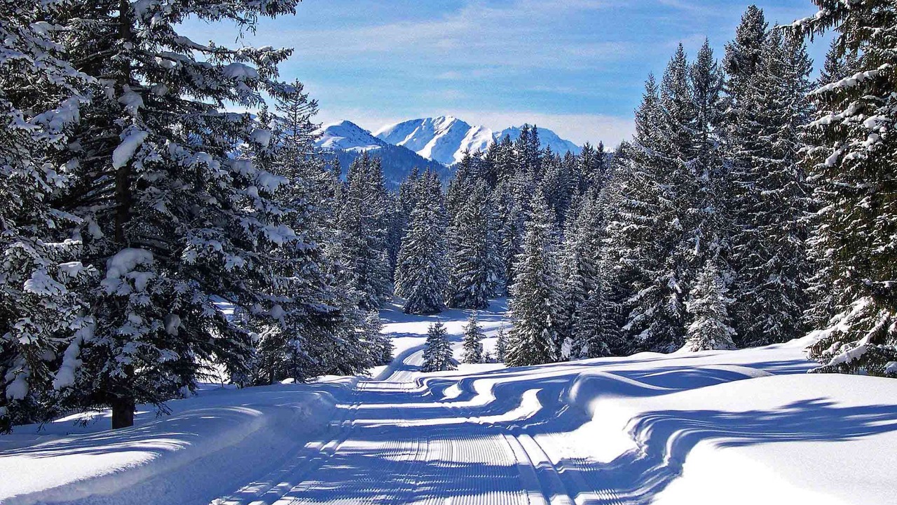 Photo of Outdoor in Luzein