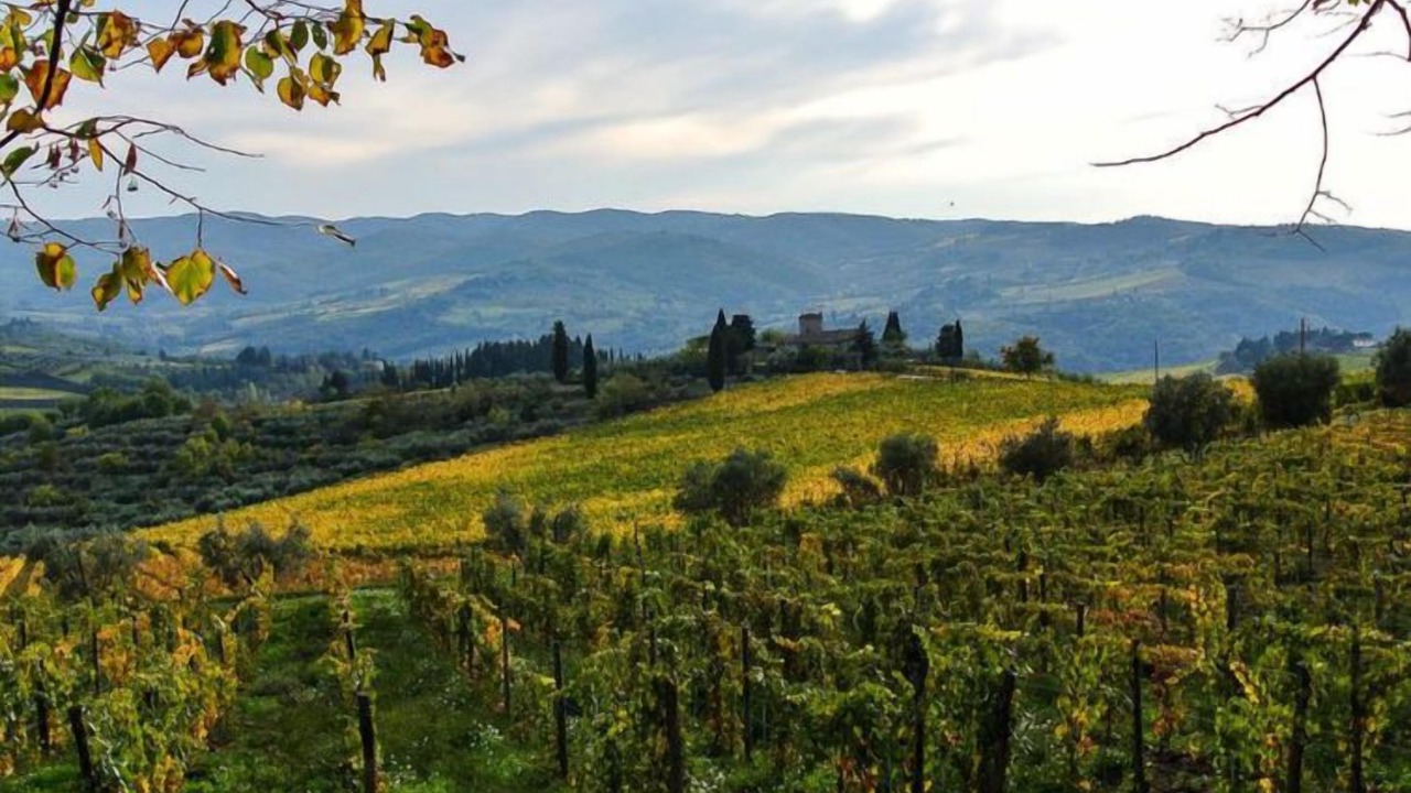 Photo of Others in Greve in Chianti