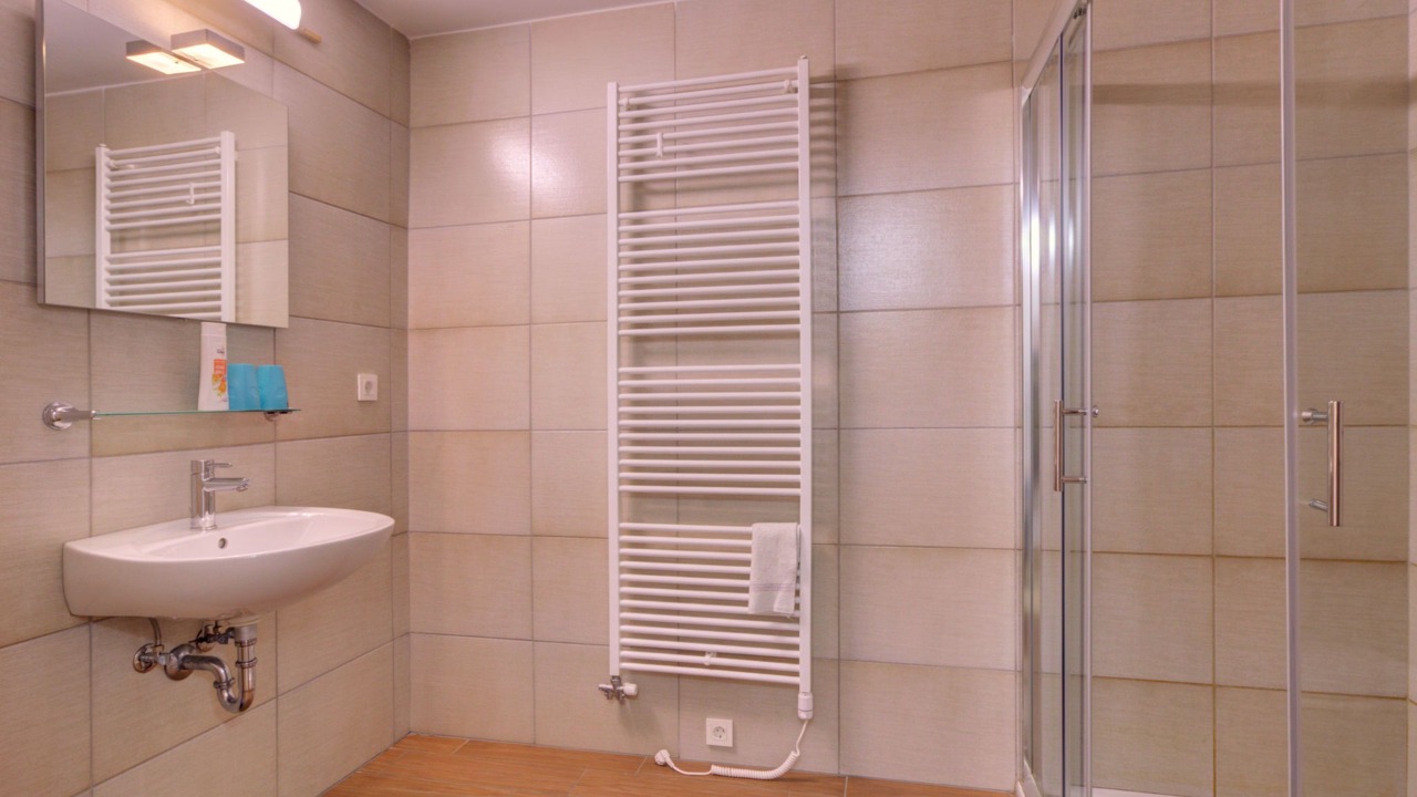 Photo of Bathroom in Bohinjska Bistrica