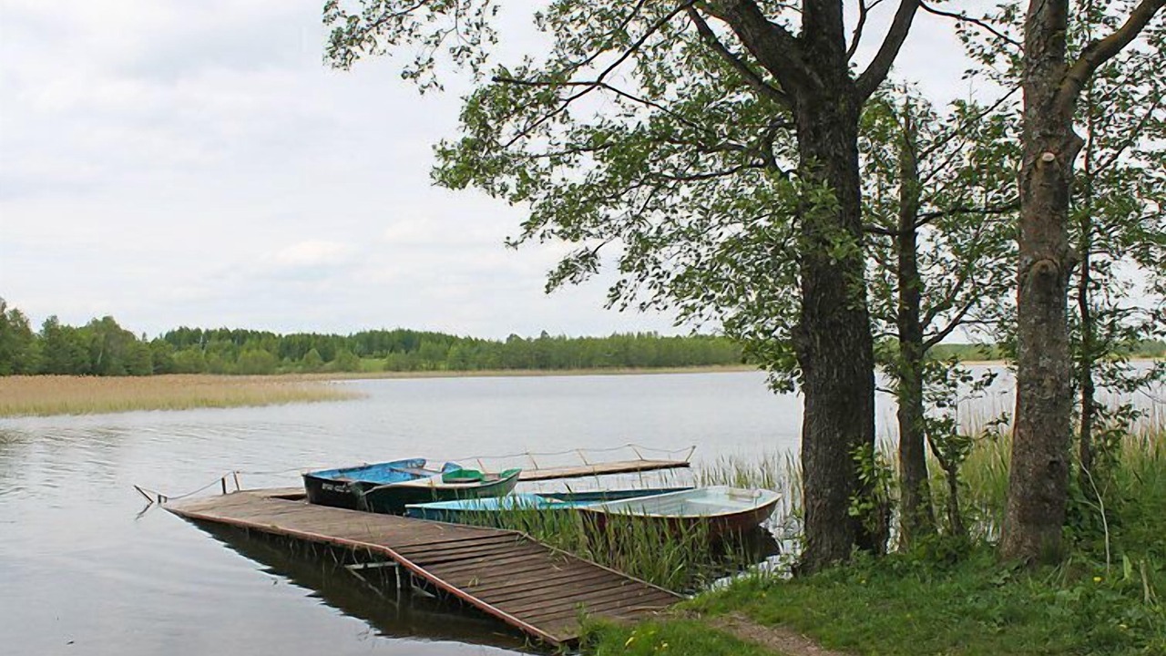Photo of Others in Ogonki