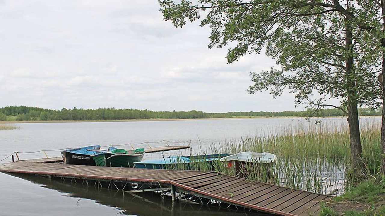 Photo of Others in Ogonki