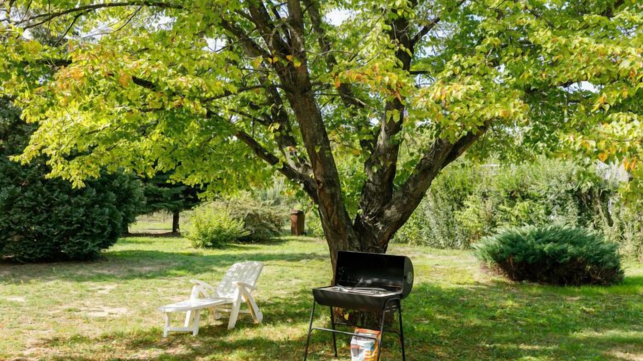 Photo of Outdoor in Balatonboglar