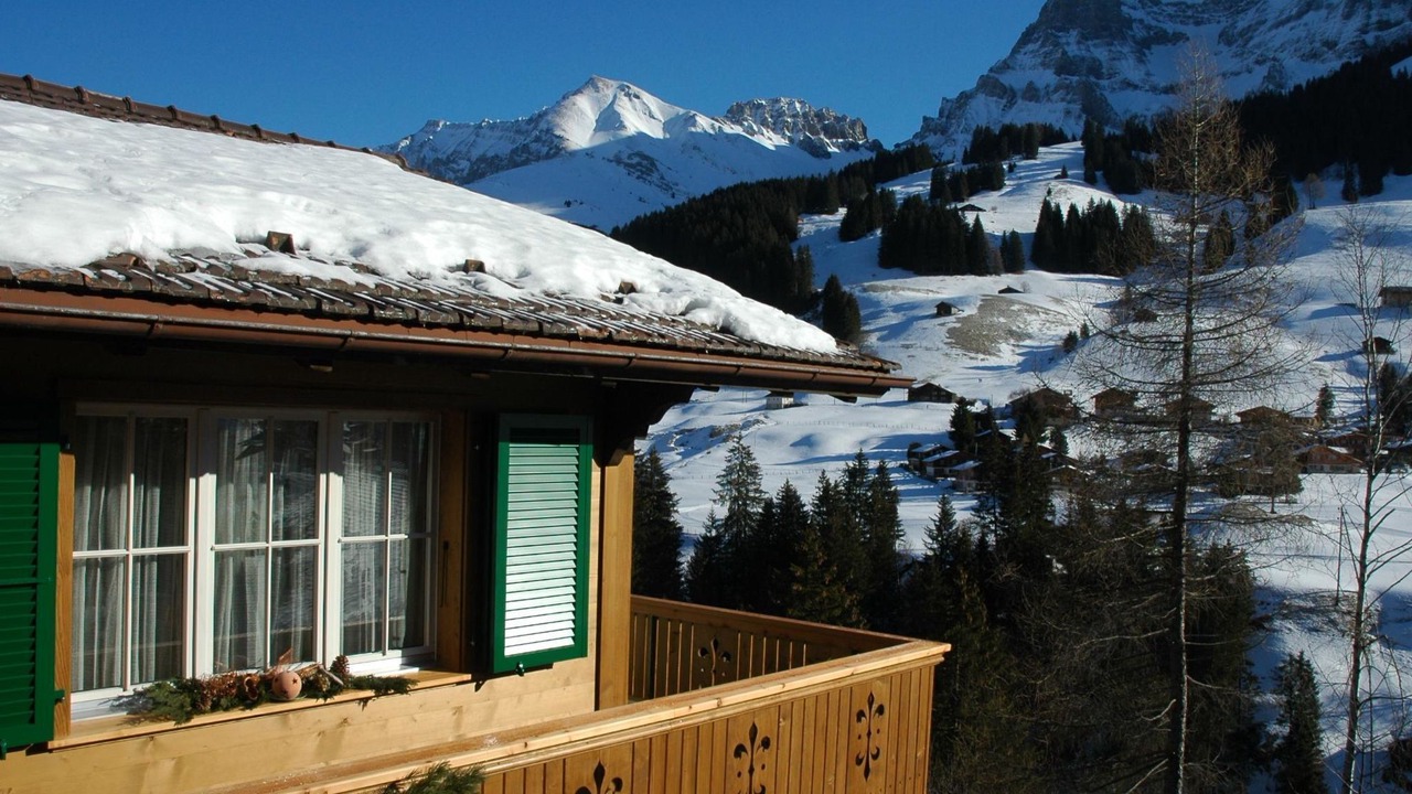 Photo of Others in Adelboden