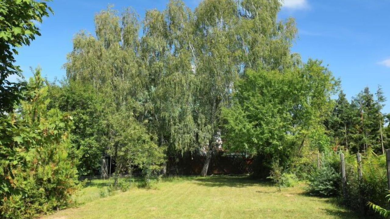 Photo of Others in Balatonszarszo