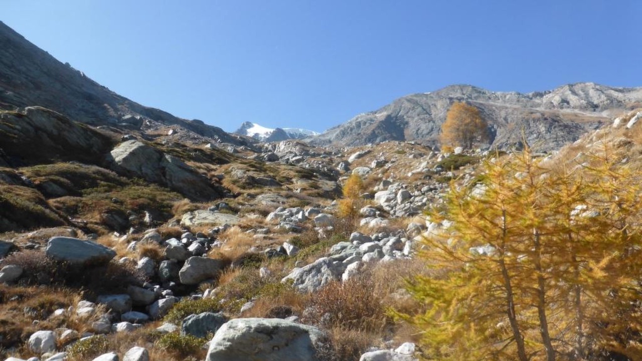 Photo of Others in Saas Almagell