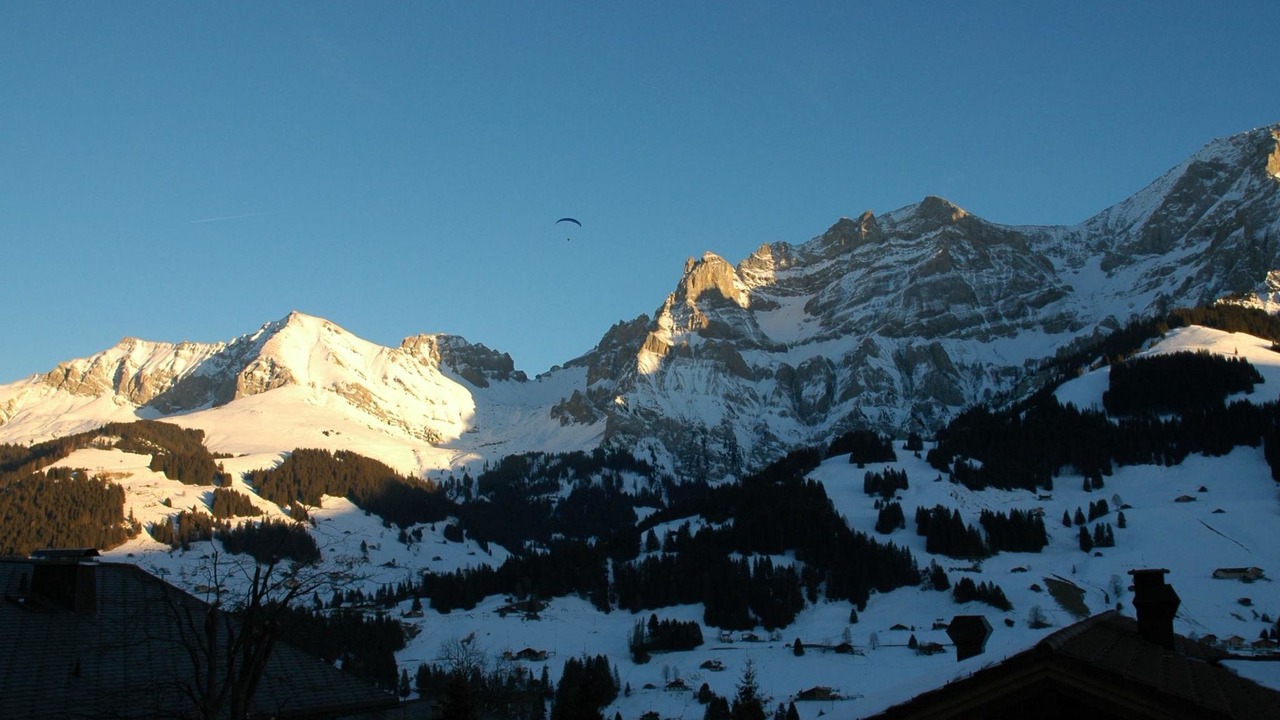 Photo of Others in Adelboden