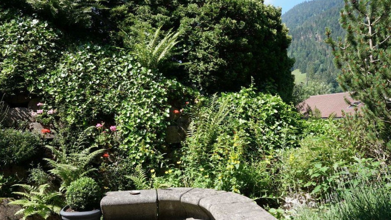 Photo of Outdoor in Zweisimmen