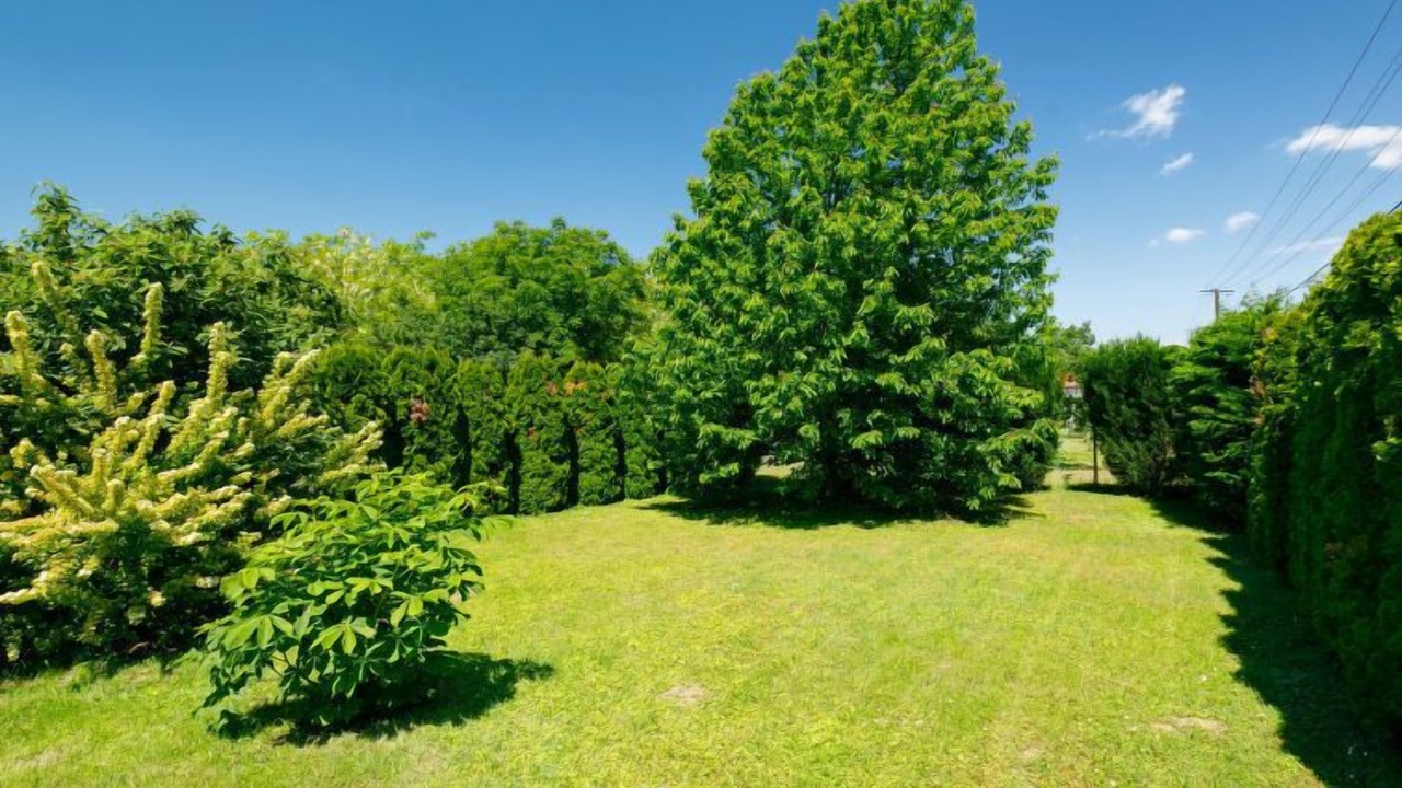 Photo of Outdoor in Balatonoszod