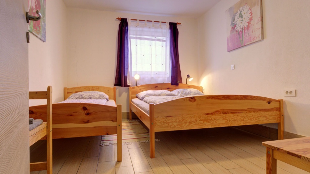 Photo of Others in Bohinjska Bistrica