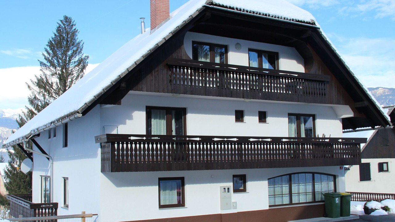 Photo of Others in Bohinjska Bistrica