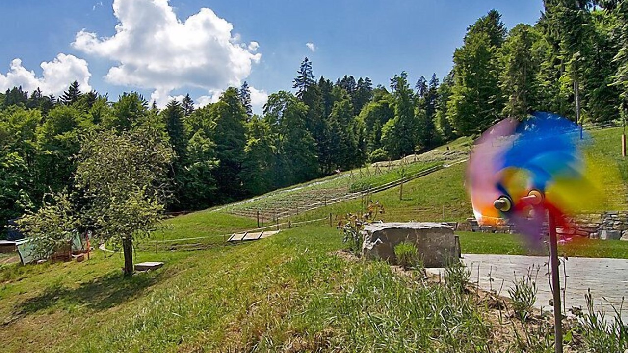 Photo of Others in Hasle bei Burgdorf