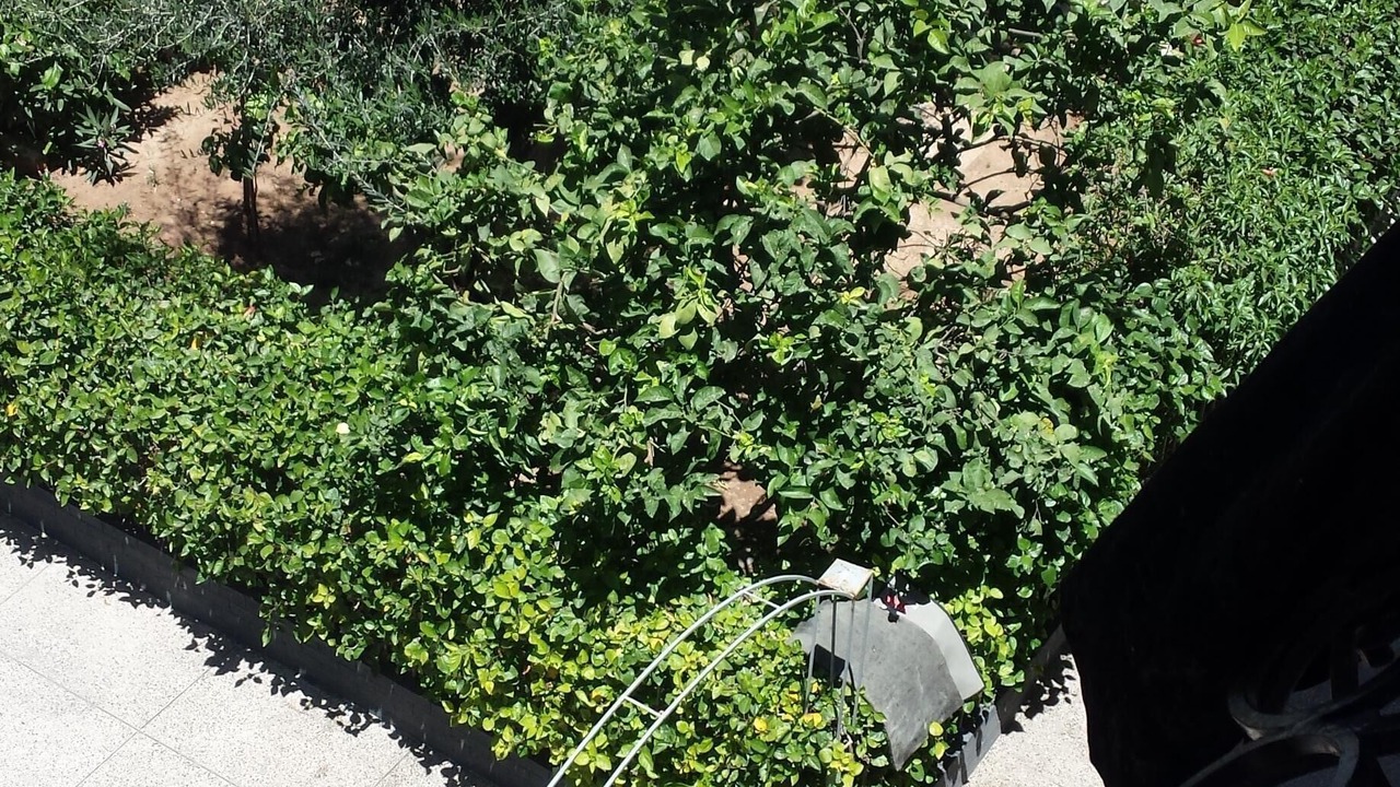 Photo of Outdoor in Ennahda