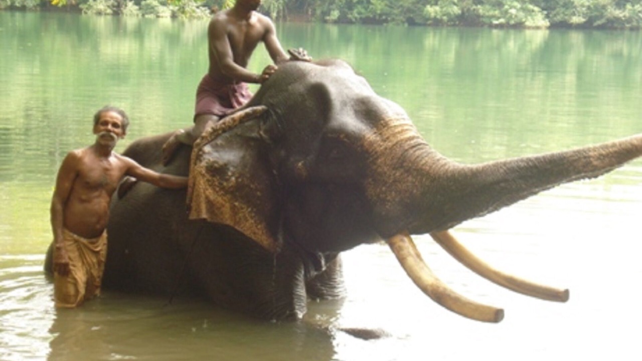 Photo of Others in Thiruvananthapuram
