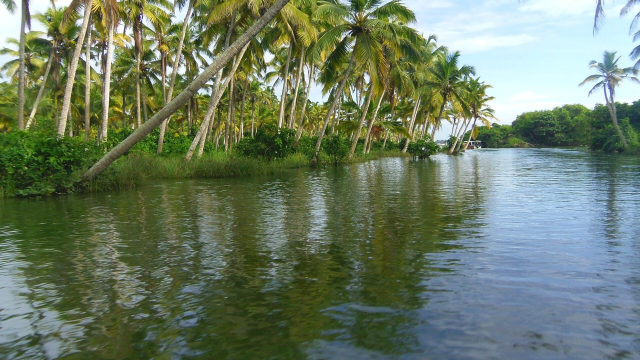 Photo of Others in Thiruvananthapuram