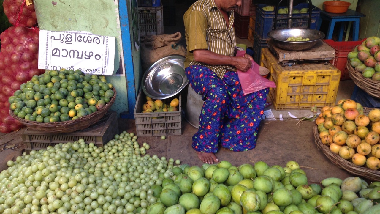 Photo of Others in Thiruvananthapuram