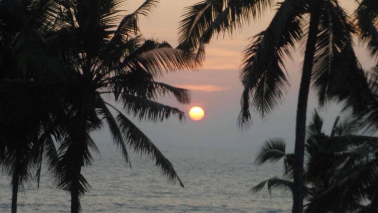 Photo of Others in Thiruvananthapuram