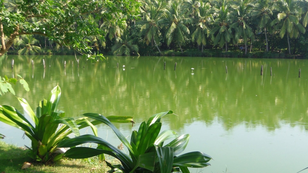 Photo of Outdoor in Thiruvananthapuram