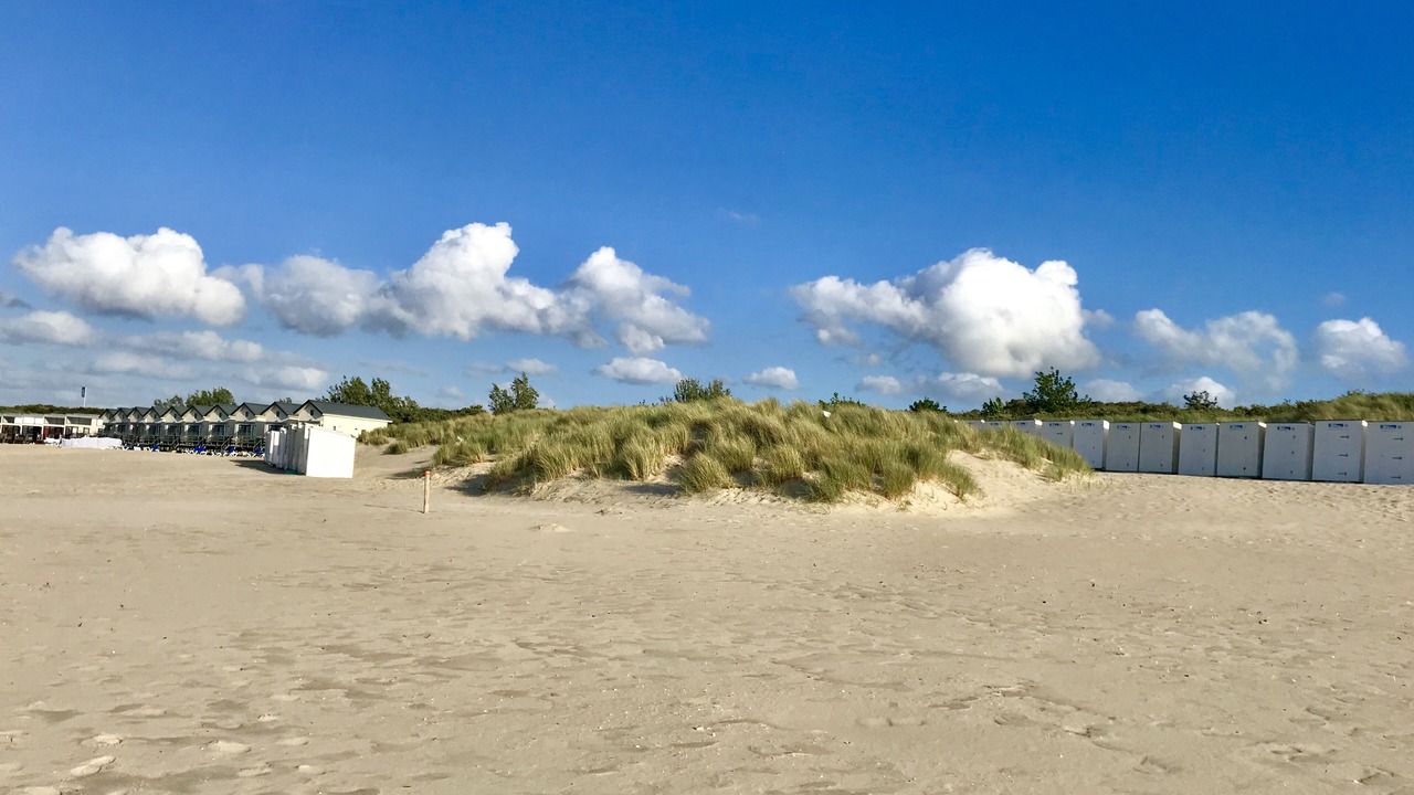 Photo of Others in Breezand