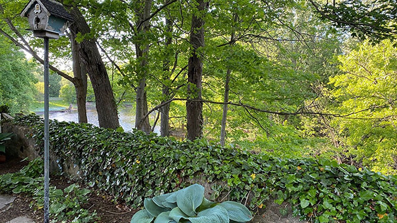 Photo of Outdoor in Dexter