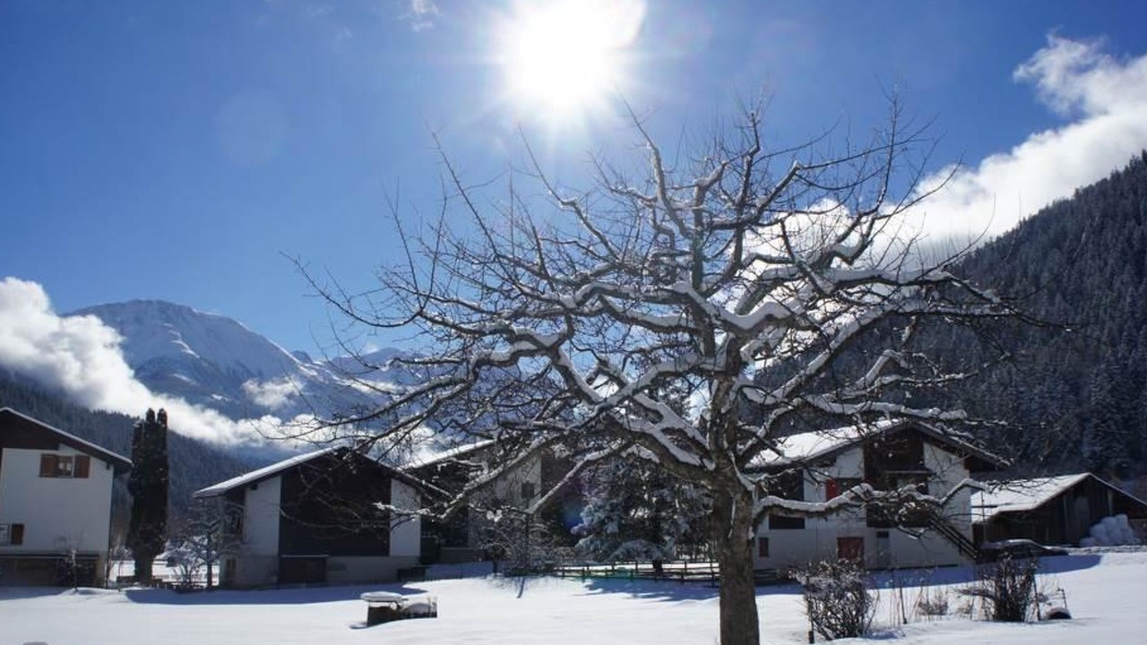 Photo of Outdoor in Reckingen