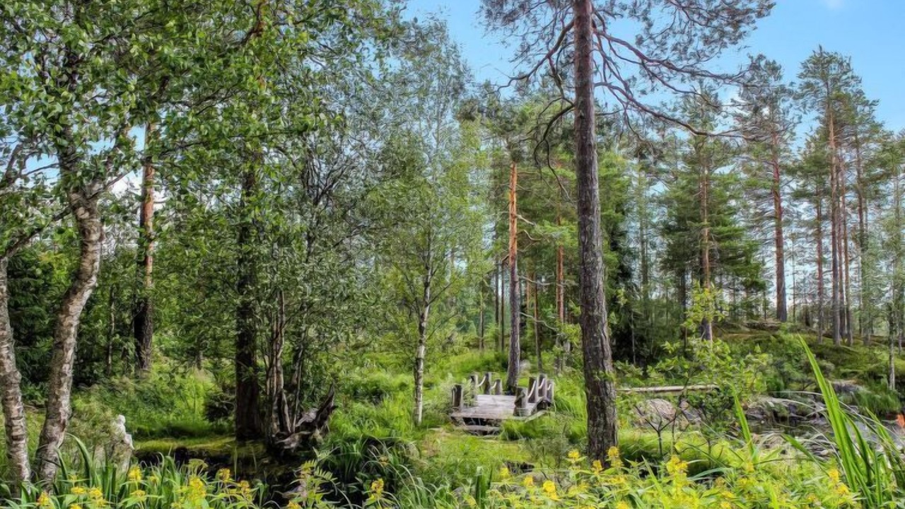 Photo of Outdoor in Kehys-Kainuu