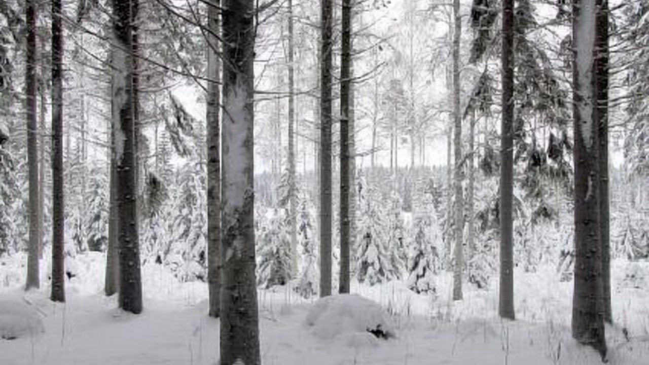 Photo of Outdoor in Asikkala