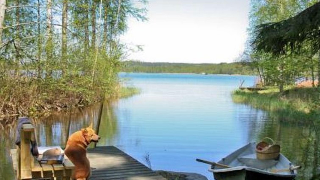 Photo of Outdoor in Asikkala