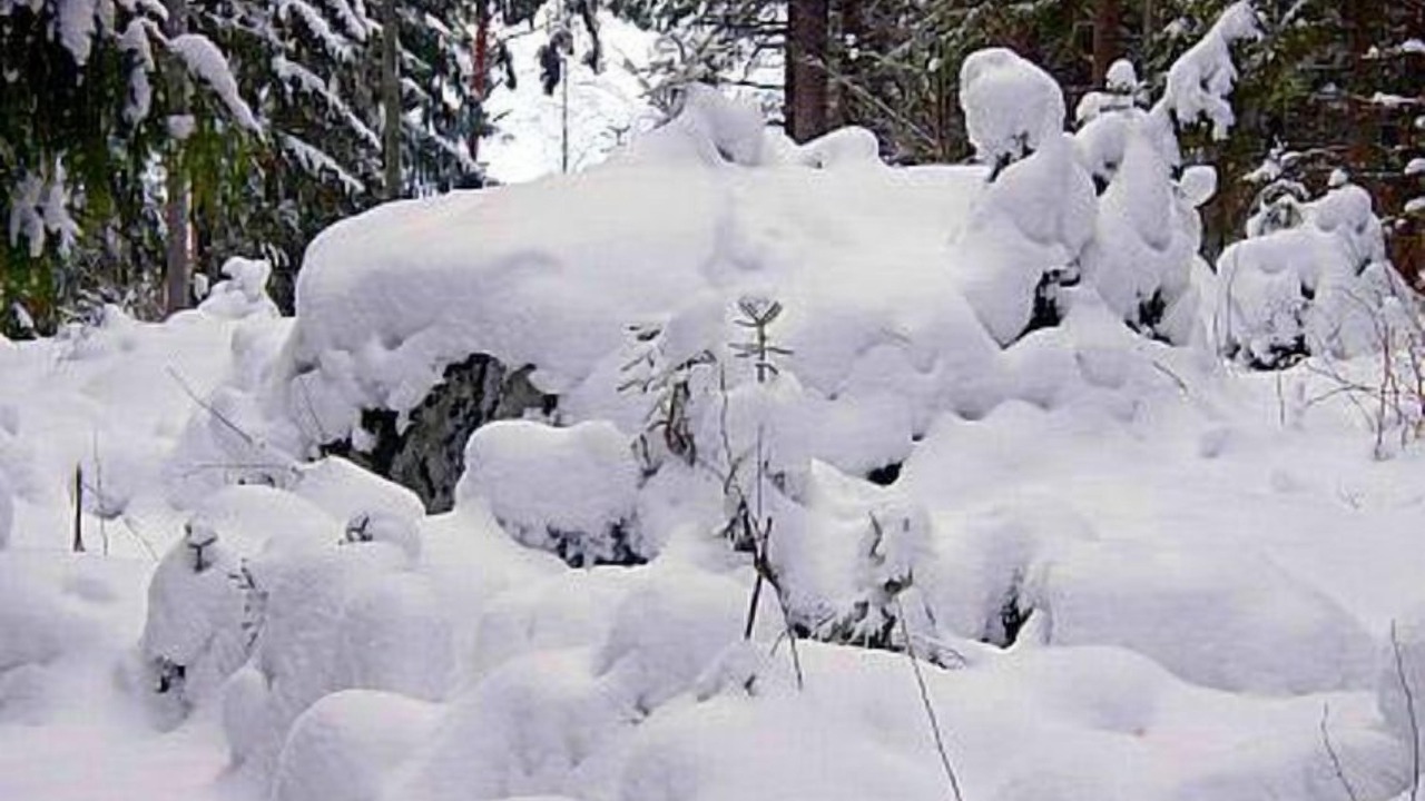 Photo of Others in Asikkala