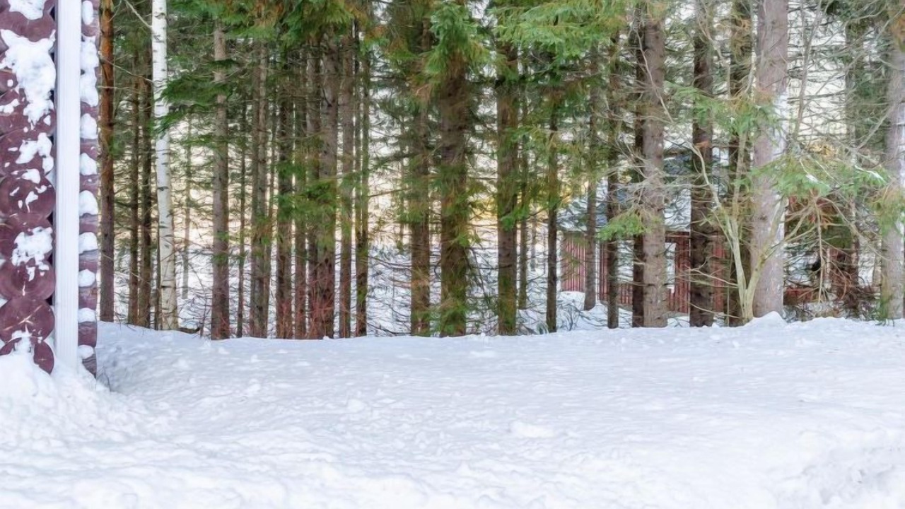 Photo of Outdoor in Koli National Park
