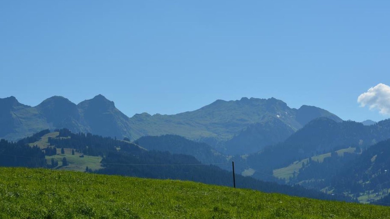 Photo of Others in Schoenried